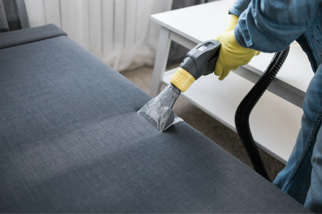 Upholstery Freshness Revival