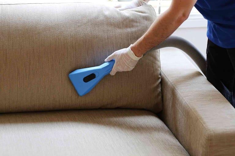 Pet Owners' Guide: Keeping Your Carpets & Furniture Pristine